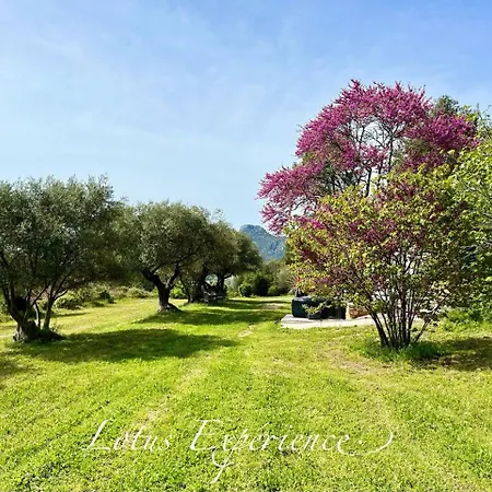 Domaine La Madeleine - Insolite オーバーニュ